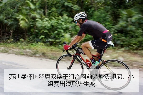 苏迪曼杯国羽男双梁王组合网前劣势负印尼，小组赛出线形势生变