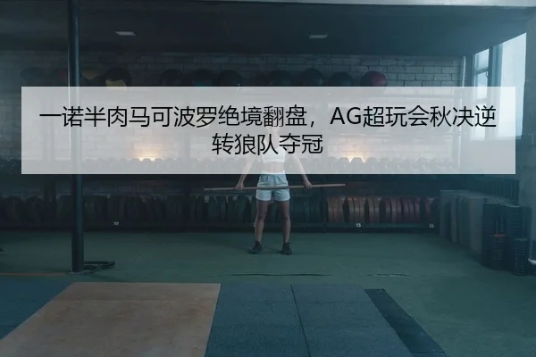 一诺半肉马可波罗绝境翻盘，AG超玩会秋决逆转狼队夺冠